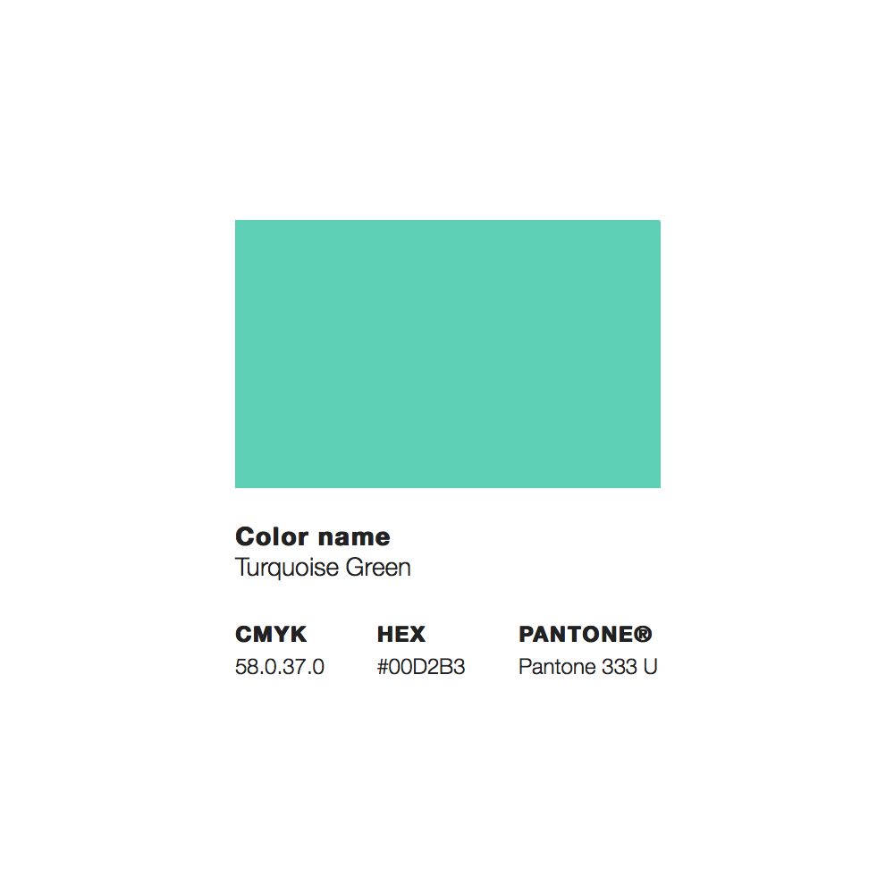 MTN Water Based Paint 200ml - RV-219 Vert Turquoise