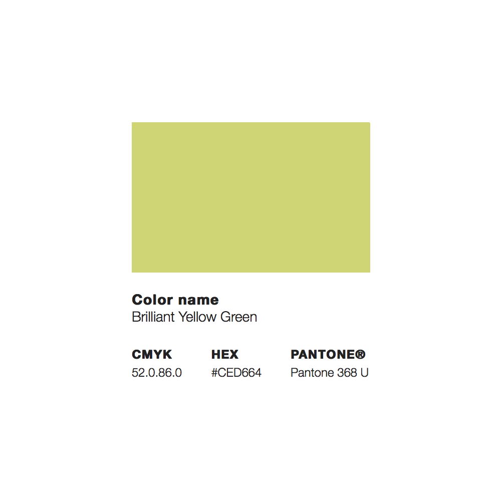 MTN Water Based Paint 200ml - RV-236 Jaune Vert Brillant